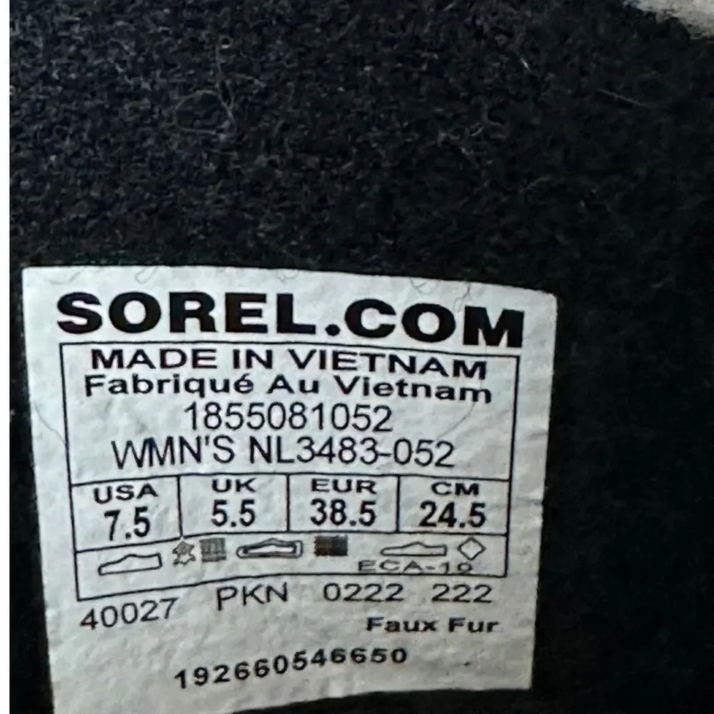 Sorel winter carnival